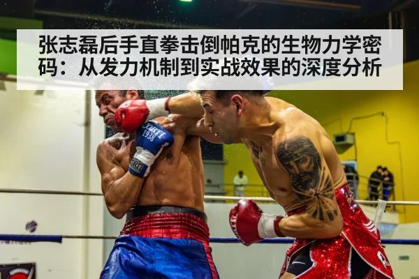 张志磊后手直拳击倒帕克的生物力学密码：从发力机制到实战效果的深度分析